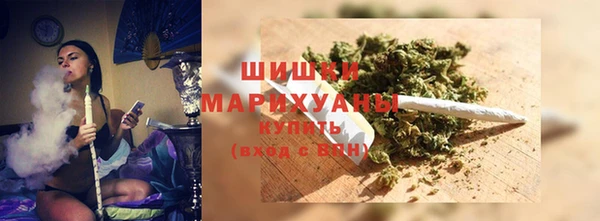 прущие грибы Белокуриха