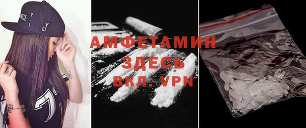 прущие грибы Белокуриха