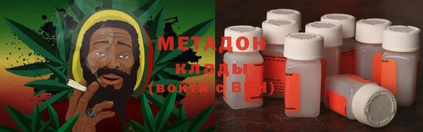 прущие грибы Белокуриха