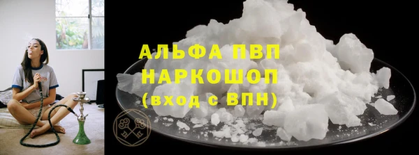 прущие грибы Белокуриха
