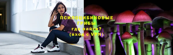 прущие грибы Белокуриха