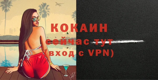 прущие грибы Белокуриха