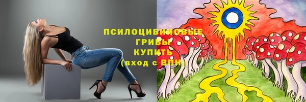 гидра Беломорск