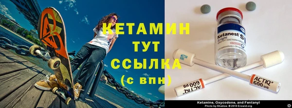 прущие грибы Белокуриха
